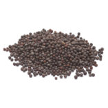 Horčicové semená, hnedé - Mikori